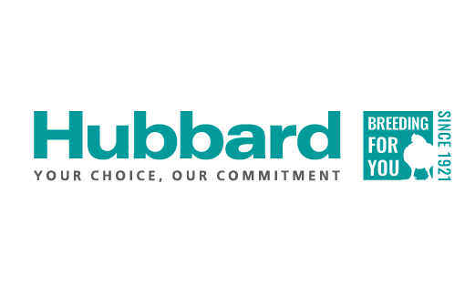 logo hubbard client steeple